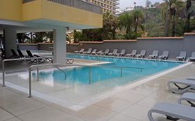 Live Puerto Las palmeras